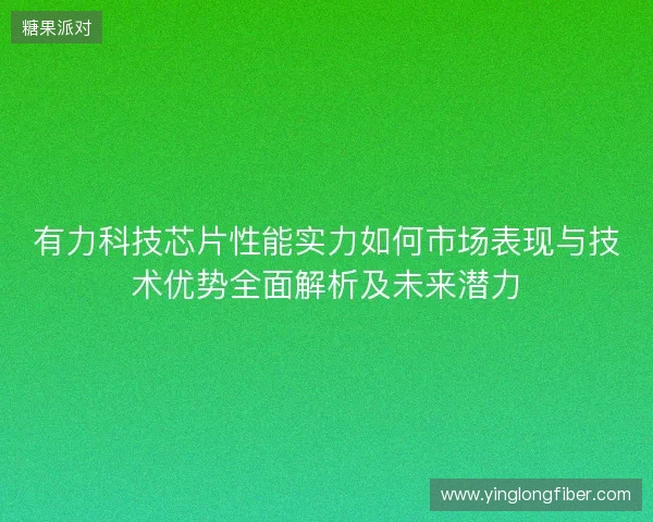 有力科技芯片性能实力如何市场表现与技术优势全面解析及未来潜力